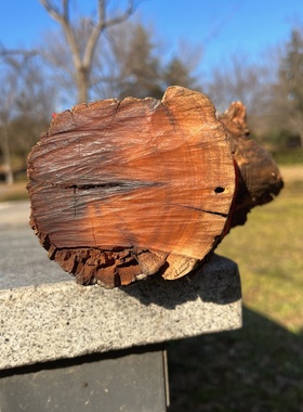 正品保真雷击枣木原木雷头枝原料百年老树龄无事牌手串料子非金属