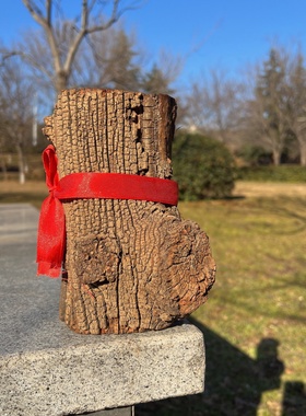 正品保真雷击枣木原木雷头枝原料百年老树龄无事牌手串料子非金属