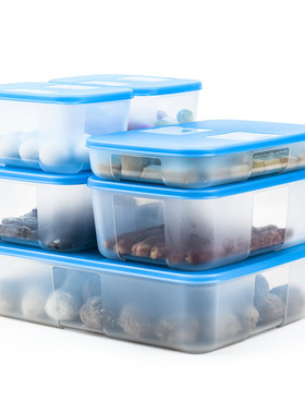 特百惠  冷冻之家保鲜盒  冰箱密封冷藏盒 大容量收纳储藏盒