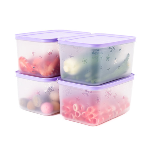 特百惠2.5L长方形雪影冷冻保鲜盒