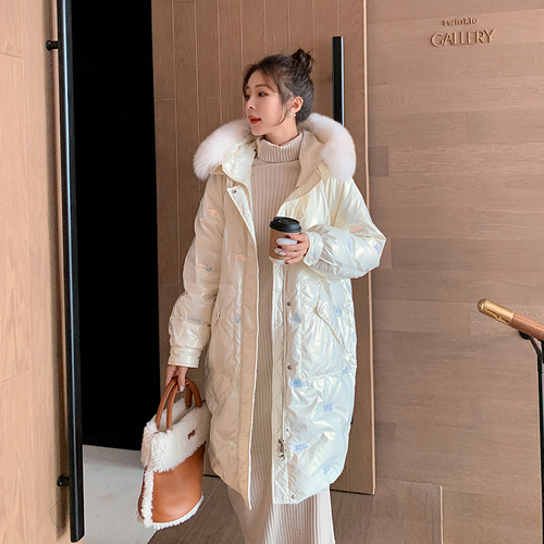 浙宝303 ZB303B303-E228-K288