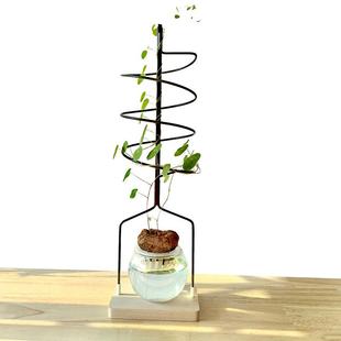 水培山乌龟螺旋式爬藤架龟甲龙桌面植物花架小花盆种植攀爬支架