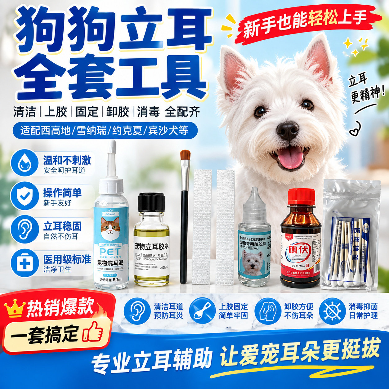 西高地立耳套装狗狗立耳胶水
