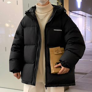 Y8811-P205--潮牌港风纯色立领印花羽绒服男外套女冬季图片