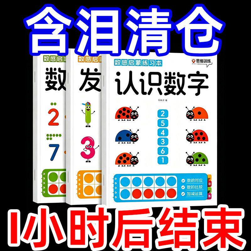数学感知启蒙教具练习册思维训练游戏幼小衔接加减法培养数学能力