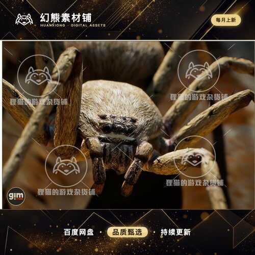 Unity Animalia - Spider 2.3.3  高质量真实蜘蛛怪物
