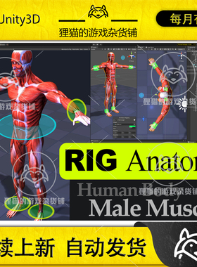 Unity Rig Anatomy Male Muscles 解剖学男性肌肉模型 1.0