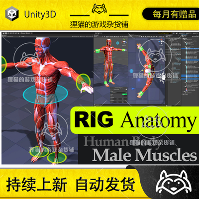 Unity Rig Anatomy Male Muscles 解剖学男性肌肉模型 1.0