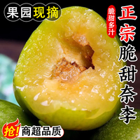 正宗廣西新鮮奈李5斤當(dāng)季現(xiàn)摘