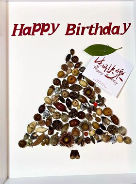 都听手作植物果实种子标本装饰画相框生日礼物小众原创设计师装饰