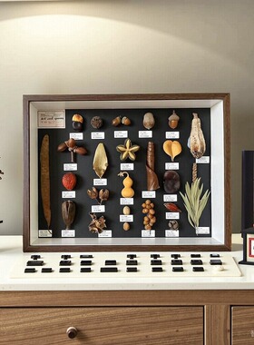 横版植物标本装饰画生日礼物乔迁礼物放我家原创手作家居装饰新年