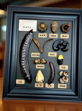 原创氛围感植物果实标本相框咖啡厅民宿设计师的居家小众礼物挂画