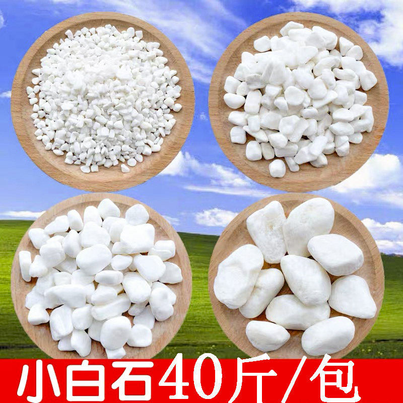 40斤装小白石子铺路雨花石原石天然鹅卵软暖石鱼缸造景多肉铺面石