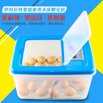 水床孵化机家用型鸡鸭鹅孵化器20枚小型32枚卵蛋箱全自动控温