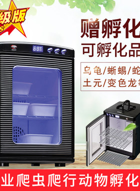 龟蛋孵化器孵变色龙化箱