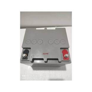 NPP 耐普蓄电池 NP12-38 太阳能免维护蓄电池 12V38AH UPS电源