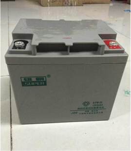 EPS电源12V17AH阀控式 17消防主机UPS 免维护现货 雄霸蓄电池6