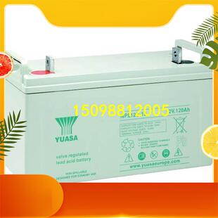 正品 汤浅蓄电池NPL220 6UPS不间断电源6V220AH铅酸免维护原装