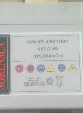 美国索润森蓄电池SAE12-65免维护12V65AH UPSEPS直流屏太阳能专用