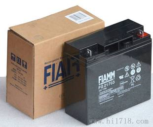 应急照明12V17A 休闲&玩具 轻型牵引 非凡FIAMM蓄电池FG21703