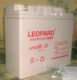 LEOPARD美洲豹电池HTS12 12V17AHUPS直流屏专用计算机系统