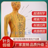 中医针灸穴位人体模型教学全身十二经络图小皮人硅胶扎针练习模特