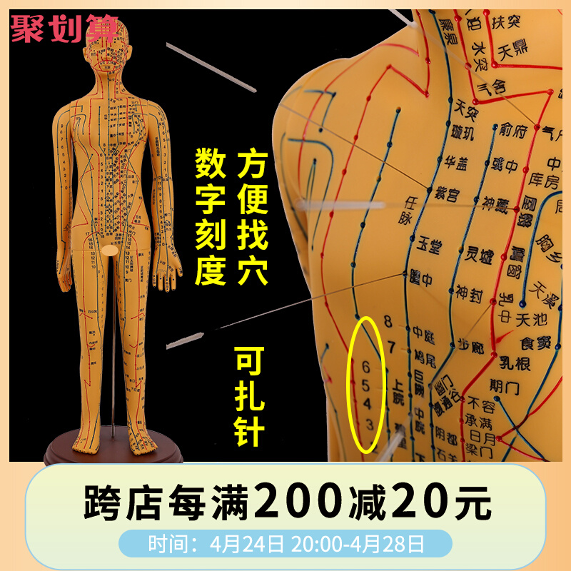 超清人体针灸穴位模型经络 铜人刻字教学中医学人体模型男女小人
