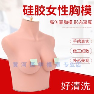 内衣文胸橱窗展示拍摄道具女半身硅胶软体仿真人模V特75B C胸