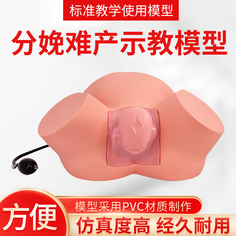 黄和模型助产士培训教具
