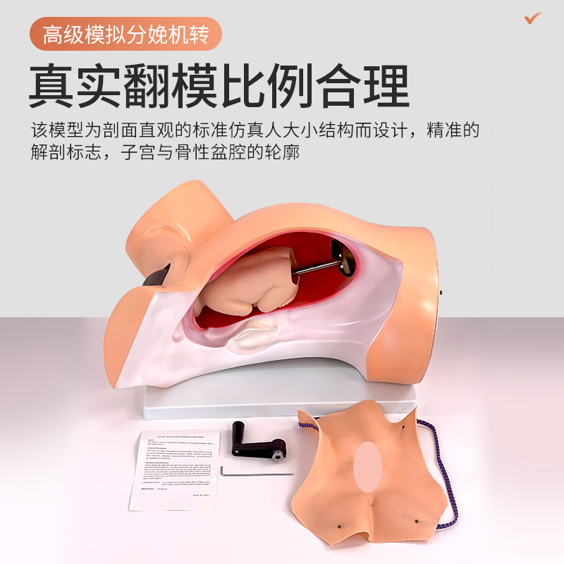 演示模型分娩机转黄河教学