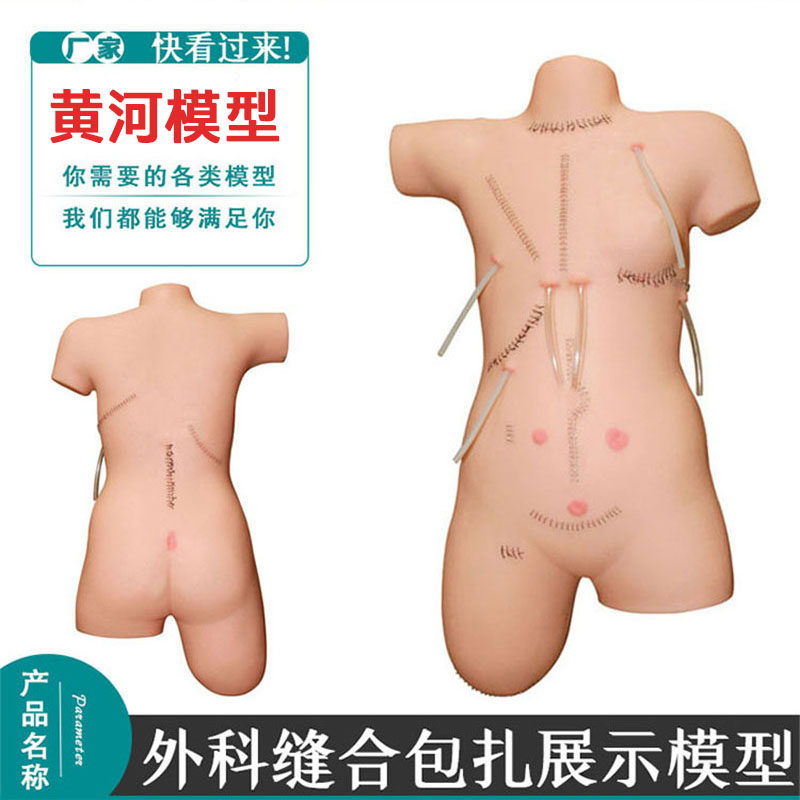 外科缝合教学模型黄河薄利多销