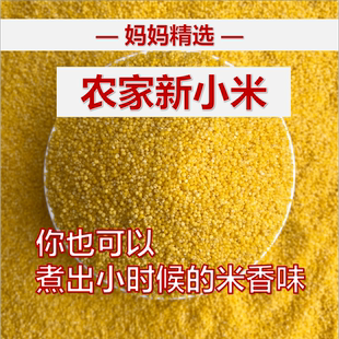 黄小米2025新米农家自种无抛光散装小米粥健康五谷杂粮