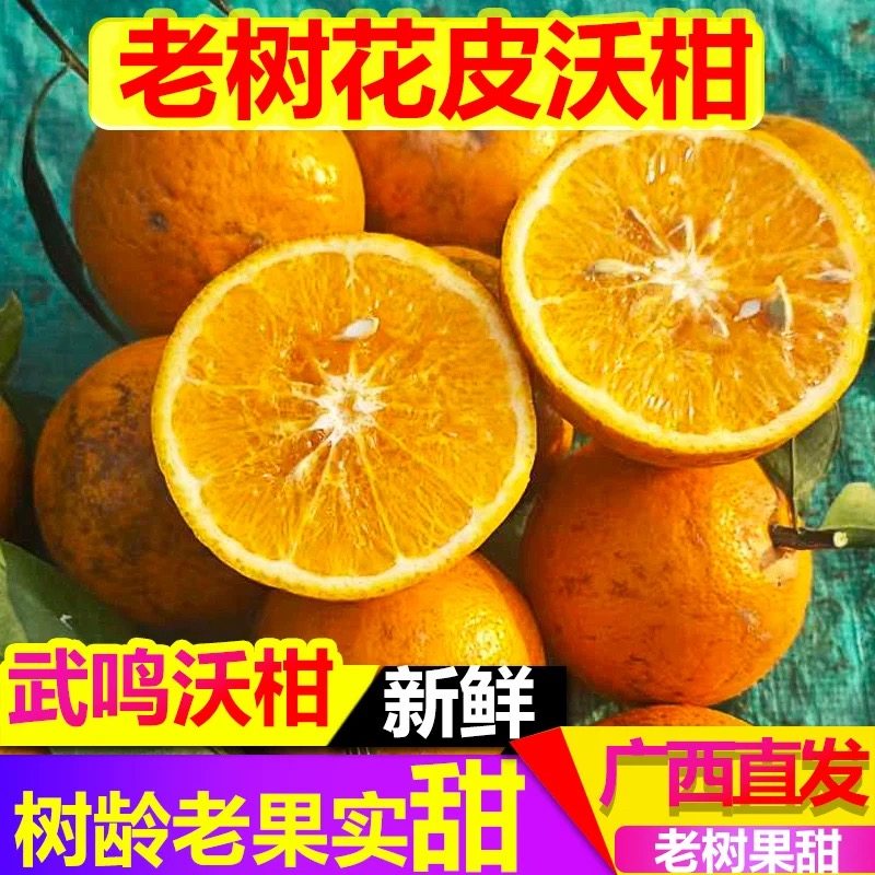 正宗武鸣沃柑花皮沃柑更甜新鲜水果现摘现发10斤桔子沃桔橘子蜜桔,水产肉类/新鲜蔬果/熟食,桔子,淘宝优惠券,粉丝福利购,淘宝优惠卷