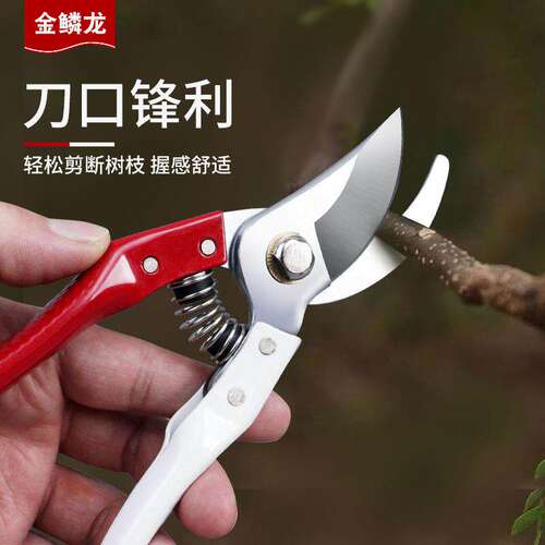 SK5修枝剪刀剪园林圆艺家用果树剪子不锈修花修剪树枝锋利花艺剪