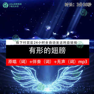 有形的翅膀 歌曲伴奏歌词舞台大屏幕LED演唱背景动画视频舞美素材