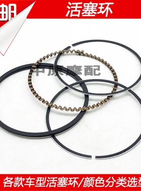 适配豪爵宇钻悦海王星金红蓝巨星红宝天玉AFR/VX/VD/USR125活塞环