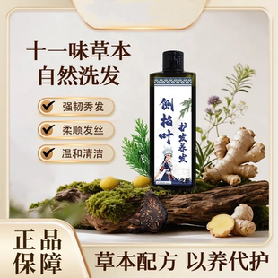 侧柏叶护发养发洗发水去屑止痒清爽控油滋润清洁黔东南州中医医院
