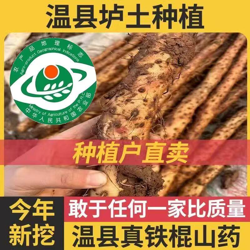 温县铁棍山药河南焦作温县铁棍山药淮山药正宗怀山药特产新鲜