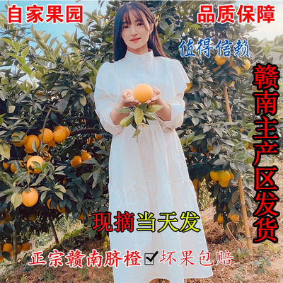 正宗赣南脐橙赣州现摘现发橙子