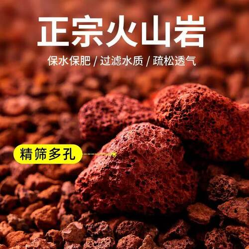 鱼缸造景兰花铺面火山石