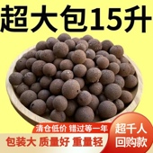 陶粒养花通用型花盆垫底园艺多肉专用花卉土陶粒养花铺面特价 空心