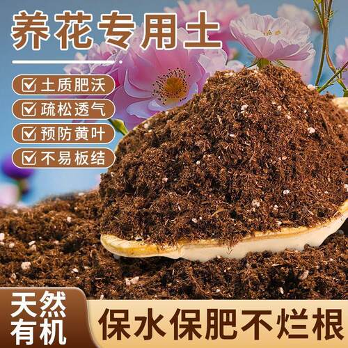 养花专用土营养土室内种菜盆栽养花卉土壤育苗种植通用有机肥料土