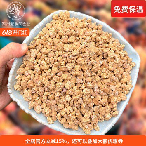 稀有大颗粒黄金软麦饭石多肉铺面