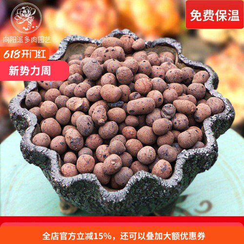 轻质空心陶粒陶土透气向阳派花卉