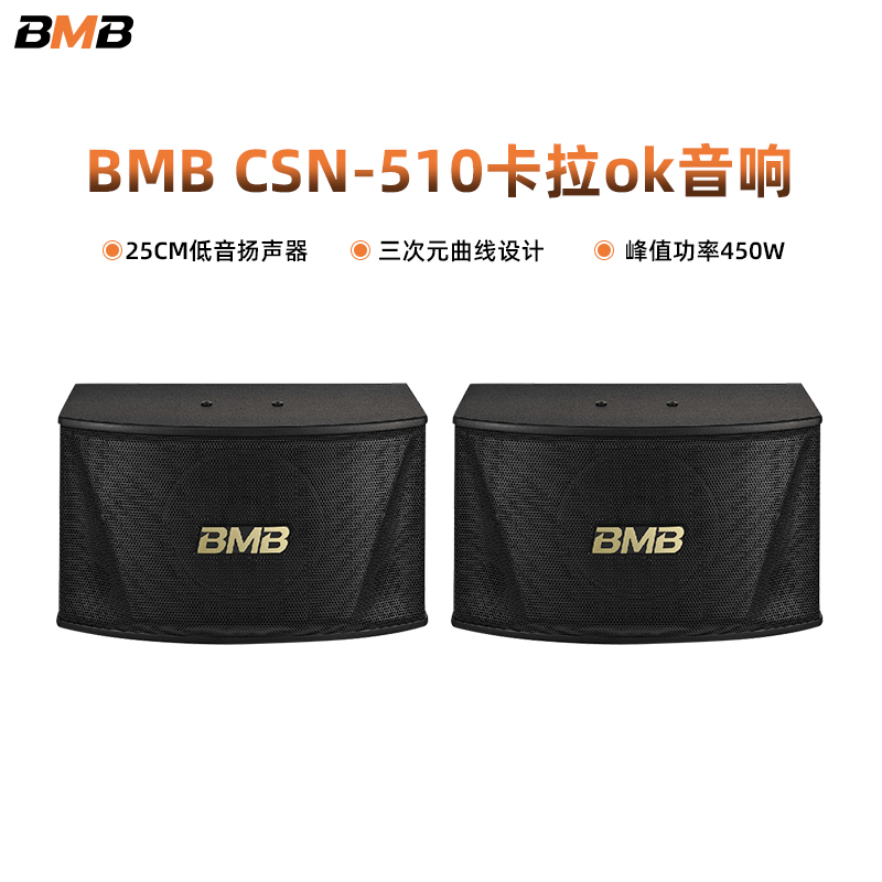 BMB510家庭ktv音响家用客厅卡拉ok套装影院酒吧10寸音箱