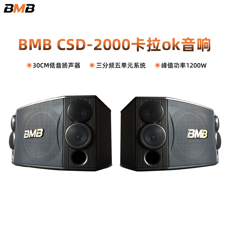 BMB CSD2000音响家庭ktv家用客厅卡拉ok套装影院酒吧前置音箱