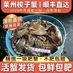 【保鲜不保活】山东莱州梭子蟹活鲜海捕飞蟹渔船直供海蟹生鲜水产