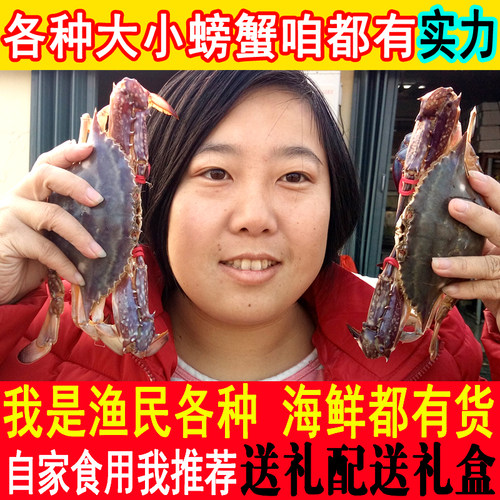 莱州湾梭子蟹红膏蟹满黄母蟹蟹