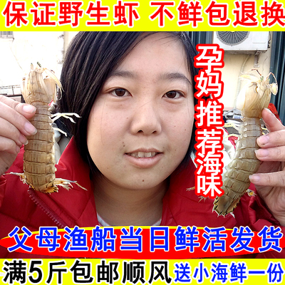 2斤皮皮虾鲜活超大特大虾婆虾姑虾婆冷冻虾虎pp虾富贵虾莱州海鲜