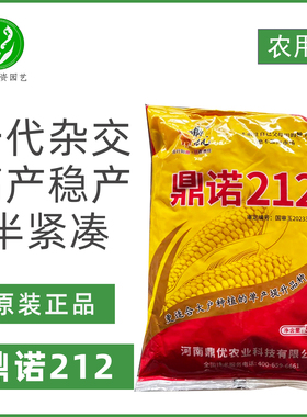鼎诺212玉米种子国审抗倒伏稳产抗旱短筒型玉米种子原装正品大田